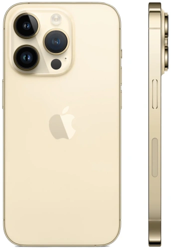 Apple iPhone 14 Pro 256 Gb Gold GB купить в Барнауле фото 2
