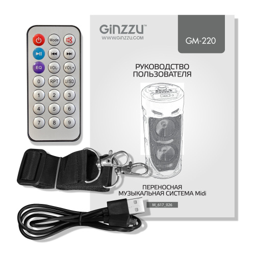 Акустическая система Ginzzu GM-220 Midi (TWS/ BT/ USB/ TF/ FM/ ДУ) купить в Барнауле фото 5