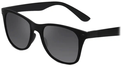 Солнцезащитные очки Xiaomi TS Polarized Sunglasses Gray (SM005-0220) купить в Барнауле фото 2