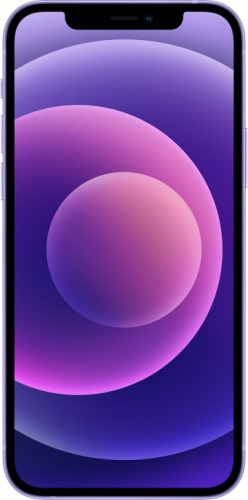 Apple iPhone 12 mini 64 Gb Purple GB купить в Барнауле фото 2